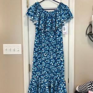 COPY - LulaRoe CiCi Sz small